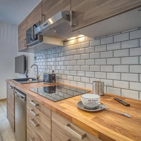 Apartment Le Felix 2, Studio Entierement Equipe Et Amenage Pour Accueillir Confortablement 2 Personnes, Tout Proche De La Gare De Sur L'avenue Felix Viallet Grenoble